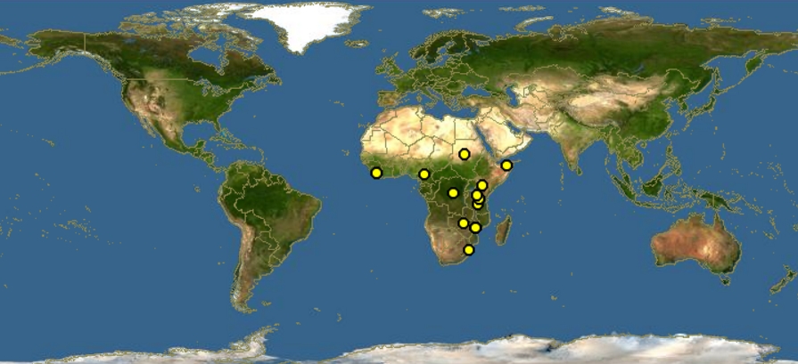 西非冠珠雞分布圖