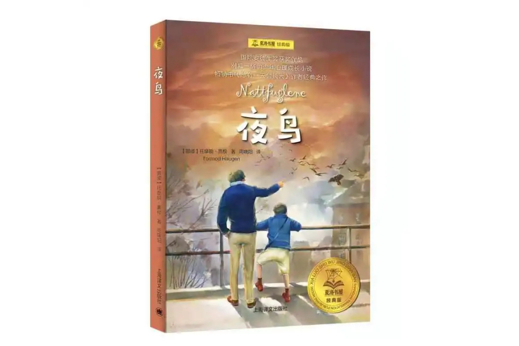 夜鳥(2020年上海譯文出版社出版的圖書) 夜鳥(2020年上海譯文出版社出版的圖書)