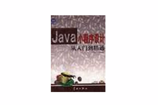 Java 小程式設計從入門到精通