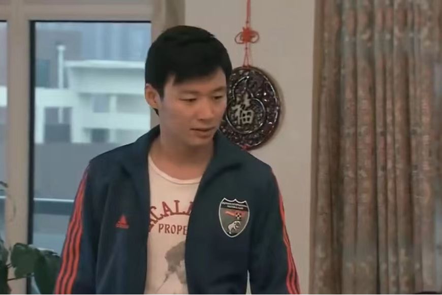 林準(家庭情感劇《掌門女婿》中的角色) 林準(家庭情感劇《掌門女婿》中的角色)