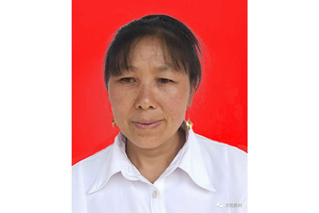 王明英(貴州省遵義市桐梓縣馬鬃苗族鄉石板村村民) 王明英(貴州省遵義市桐梓縣馬鬃苗族鄉石板村村民)
