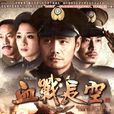 血戰長空(2010年沙溢主演電視劇) 血戰長空(2010年沙溢主演電視劇)