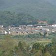 王馬寨村 王馬寨村