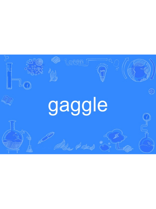 gaggle gaggle