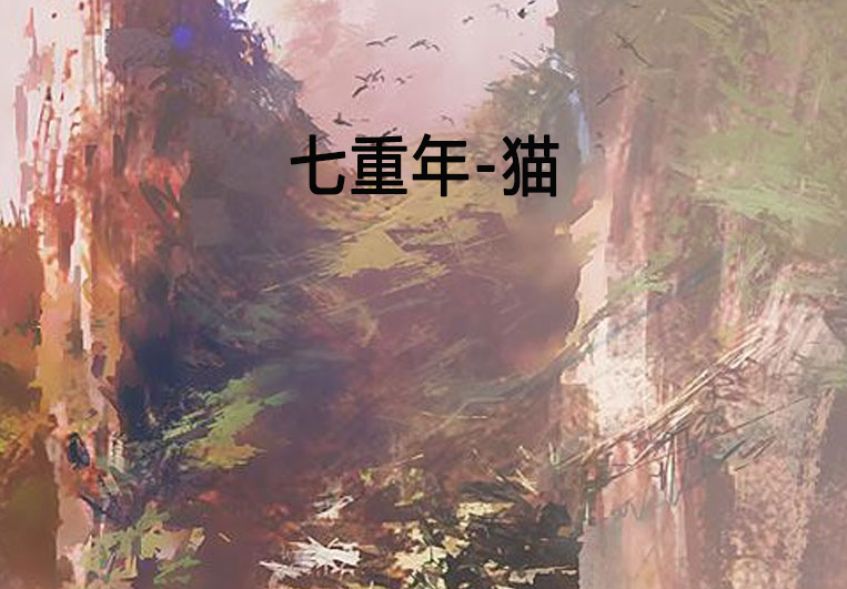七重年-貓 七重年-貓