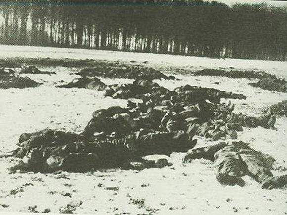 德軍士兵屍體