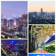 南山區(廣東省深圳市南山區)