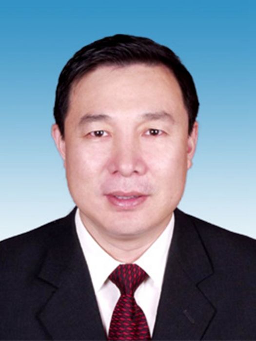 王哲(河南省人民政府國資委正廳長級幹部) 王哲(河南省人民政府國資委正廳長級幹部)