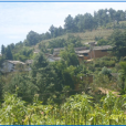 麥地山 麥地山
