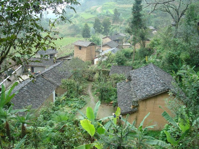 面瓜村 面瓜村