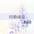 閃婚成愛(夏沫君著網路小說) 閃婚成愛(夏沫君著網路小說)