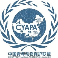 中國青年動物保護聯盟