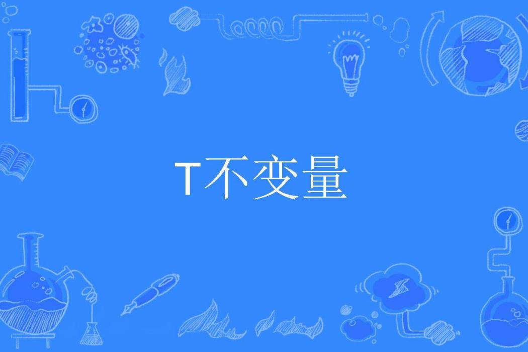 T不變數 T不變數