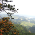 五華山(雲南省昆明市五華山)