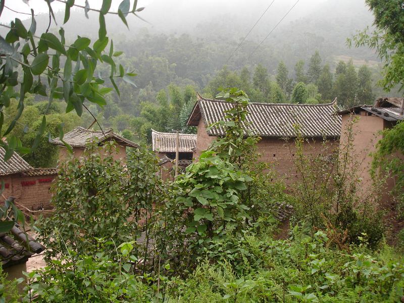 李姓村 李姓村