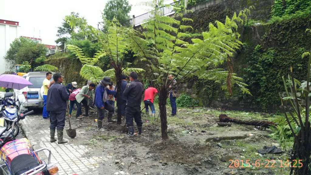2015年6月22日亞東村開展綠化、植樹活動