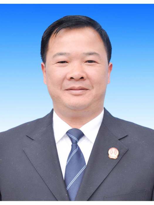 譚勇(平果市人民法院黨組書記、院長) 譚勇(平果市人民法院黨組書記、院長)
