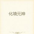 化境元神 化境元神
