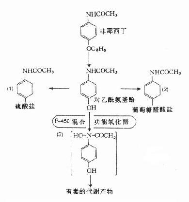 己糖醛酸 己糖醛酸