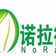 諾拉德 諾拉德