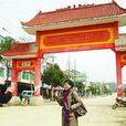 石寨村(湖北省武漢市新洲區石寨村) 石寨村(湖北省武漢市新洲區石寨村)