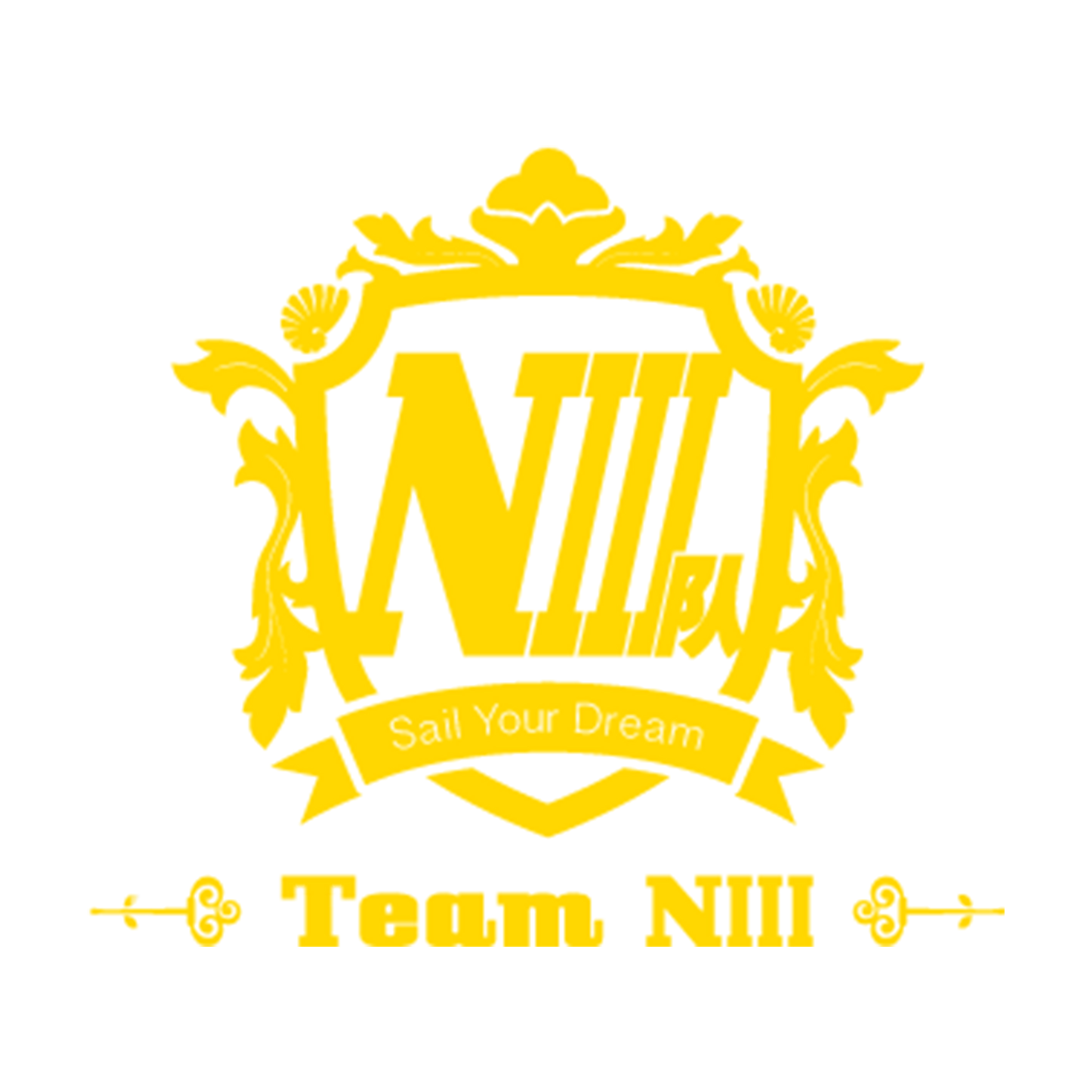GNZ48 Team NIII