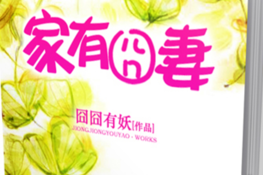 家有囧妻 家有囧妻