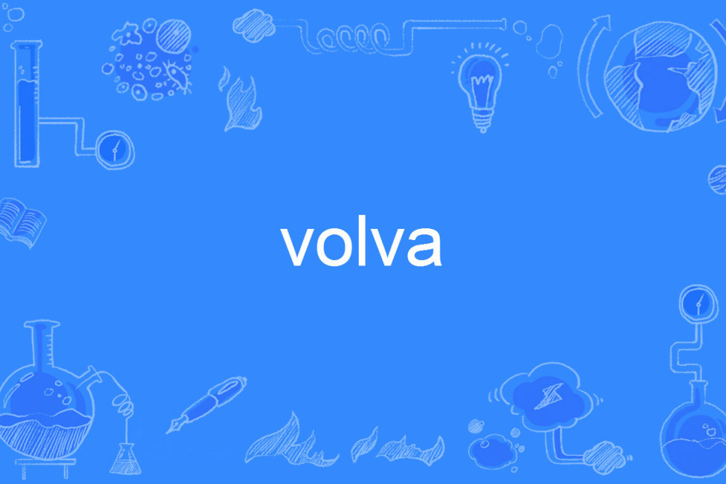 volva volva