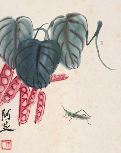 扁豆螞蚱 扁豆螞蚱