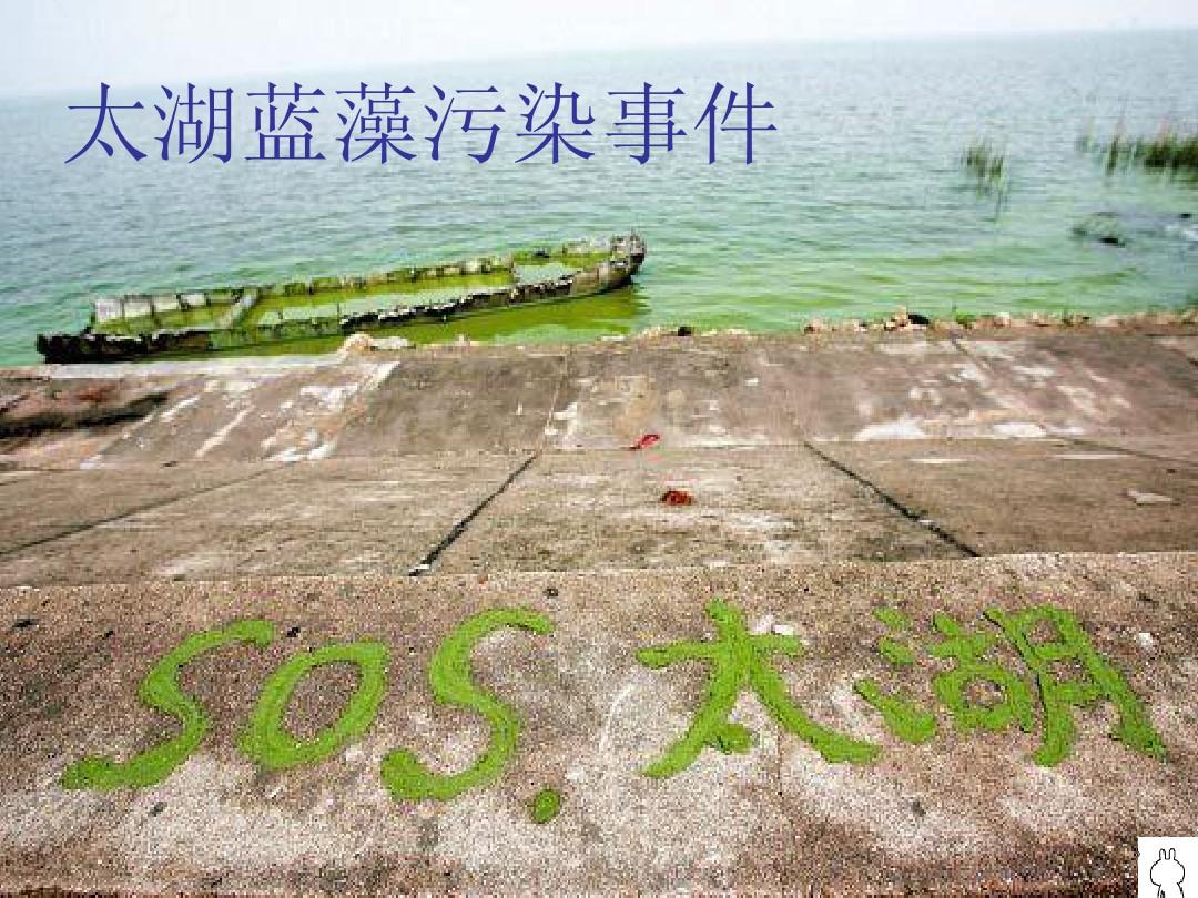 2007年太湖藍藻污染事件