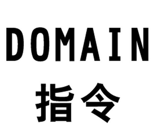 Domain(高級搜尋指令)