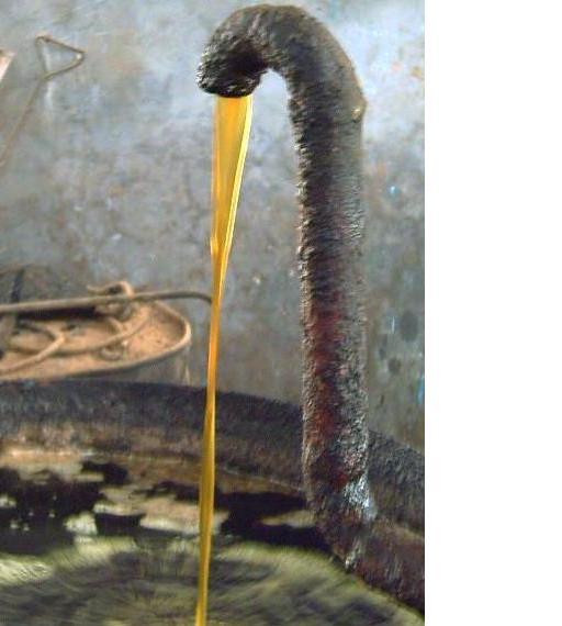 桃香茶油 桃香茶油