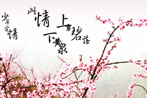 桃雨傾乾諾 桃雨傾乾諾