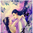 神醫才子 神醫才子