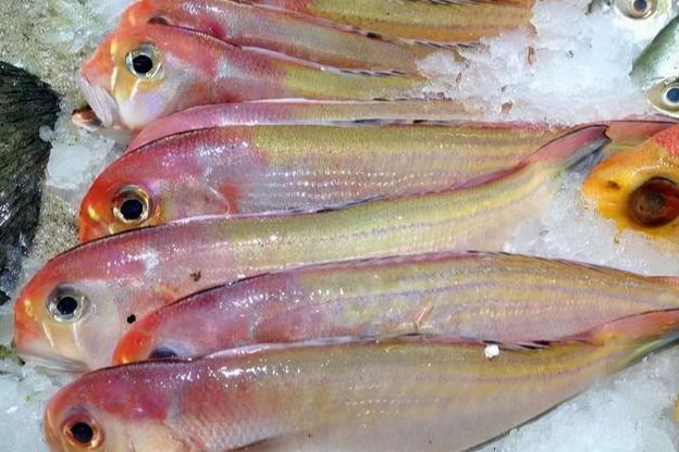 香魚銜 香魚銜