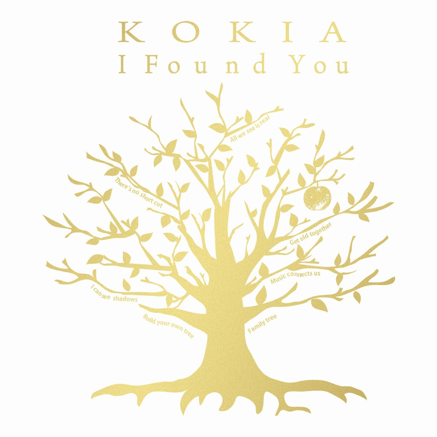 I Found You(KOKIA演唱專輯)