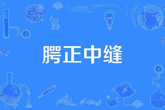 齶正中縫 齶正中縫