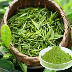 茶(Camellia sinensis)
