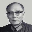 王力軍(中國人民解放軍高級將領) 王力軍(中國人民解放軍高級將領)