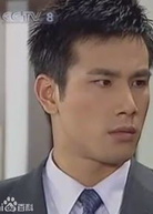 意難忘(2004年王為執導長篇電視劇)