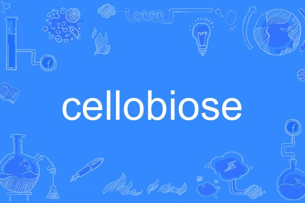 cellobiose cellobiose