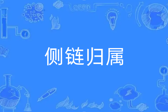 側鏈歸屬 側鏈歸屬