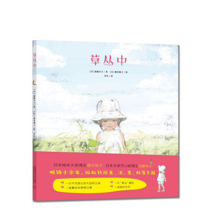 草叢中 草叢中