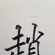 趙(漢語漢字)