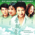 愛就愛了(2006年何洛執導電視劇)