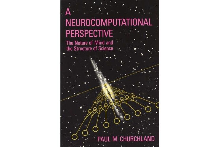 A Neurocomputational Perspective A Neurocomputational Perspective