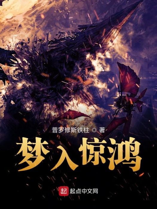 夢入驚鴻 夢入驚鴻