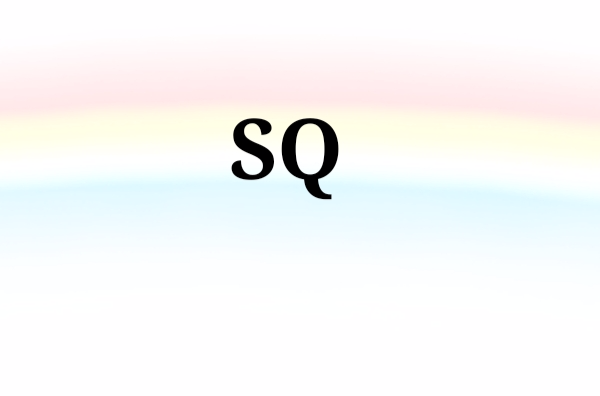 SQ(網路用語)