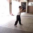 縱鶴拳 縱鶴拳