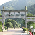 梅家塢 梅家塢